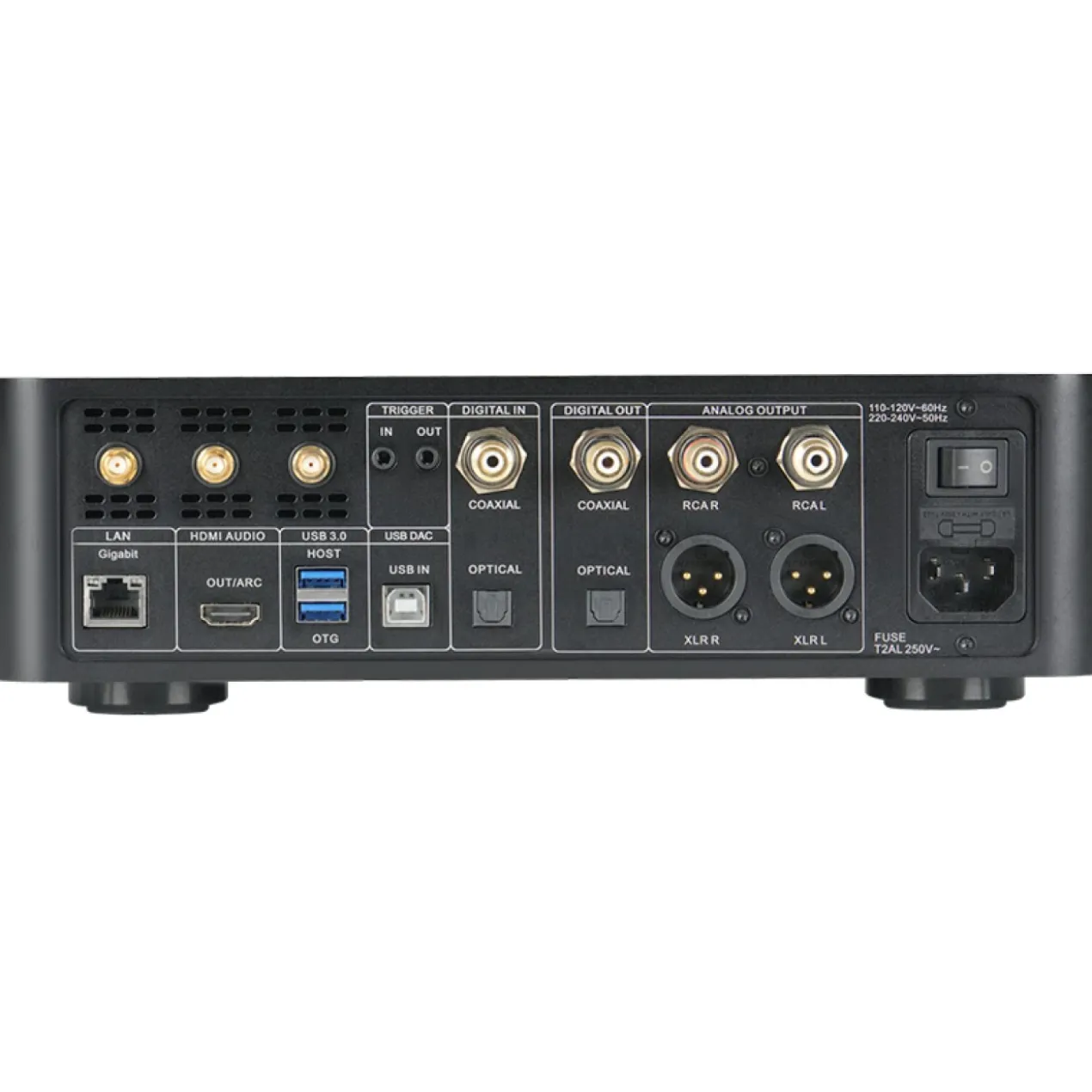 Dorpo DMP-A1