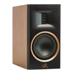 MartinLogan Motion XT B100