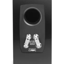 MartinLogan Motion XT B100