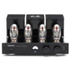 Triode TRZ-300W