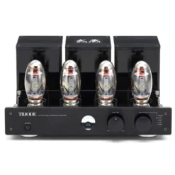 Triode TRZ-300W